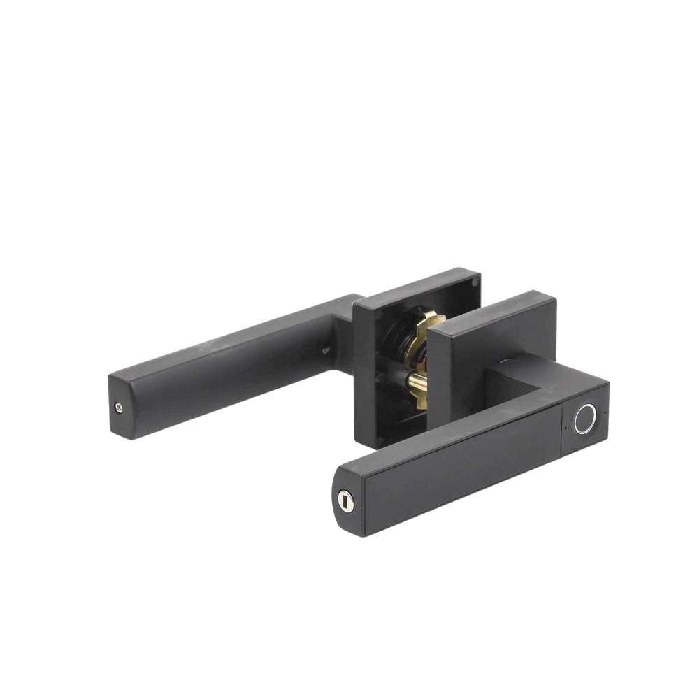 Castelli Biometric Handle/ Black Finish / 30 users / For Left or Right Doors 60-70mm