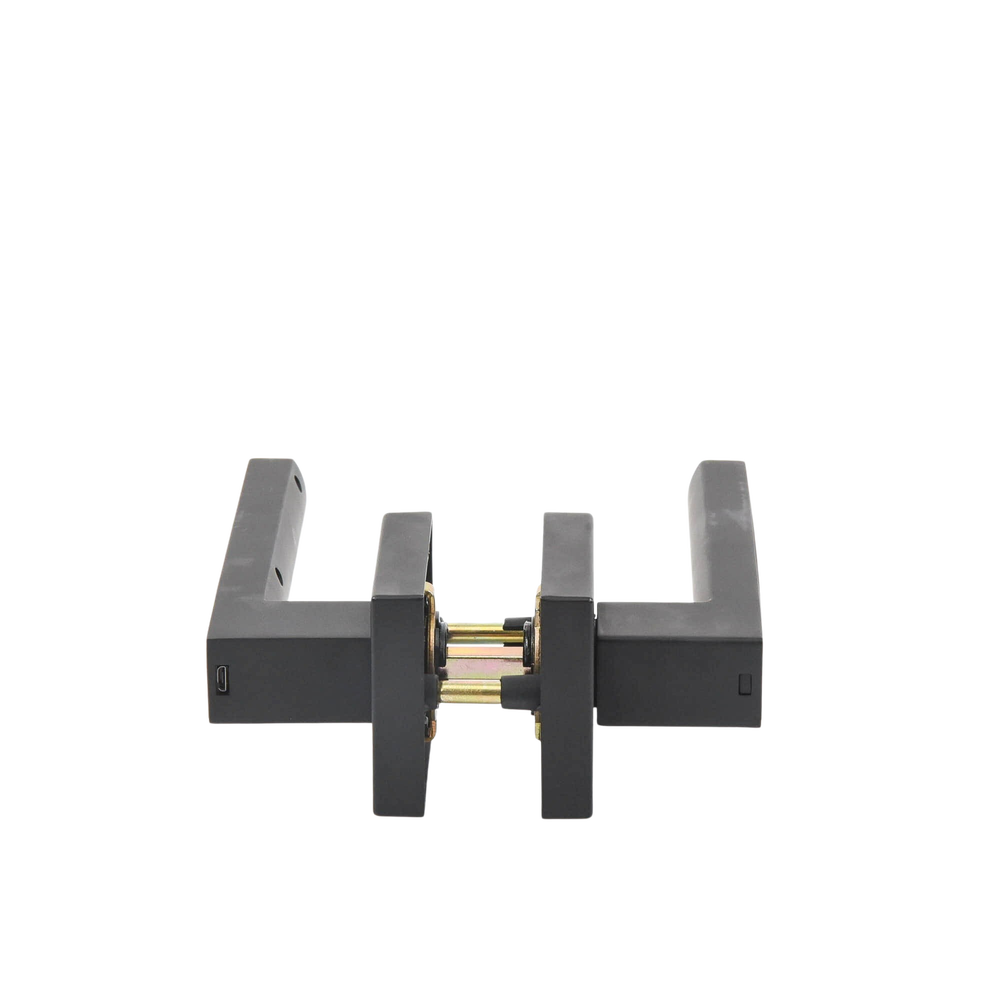 Castelli Biometric Handle/ Black Finish / 30 users / For Left or Right Doors 60-70mm