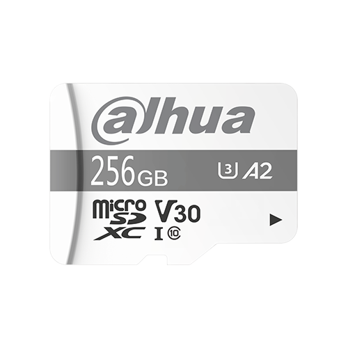 DHI-TF-P100-256GB